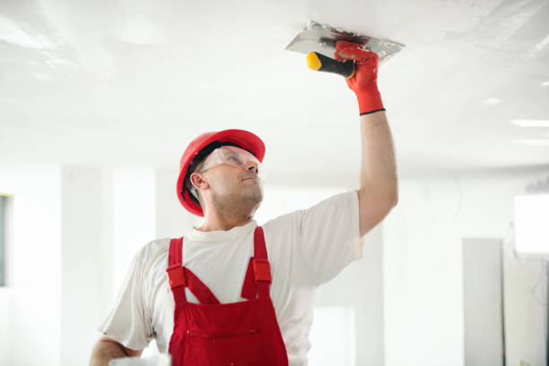 Best Drywall Texturing  in Flowing Wells, AZ